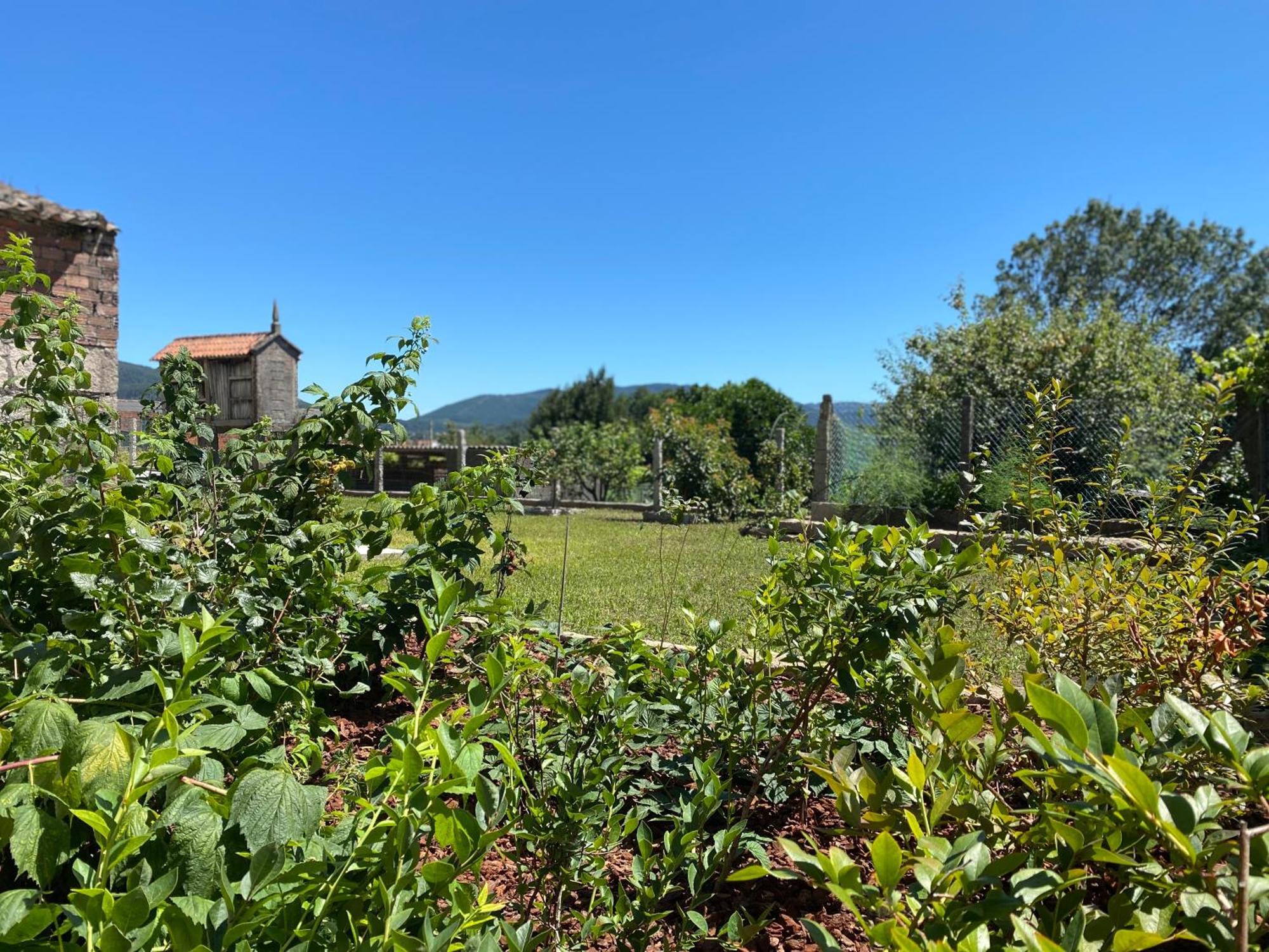 Holiday home Casa Do Campo Lestrove *